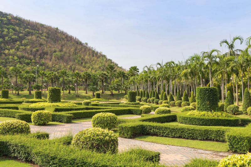 Layered Shrubs in a Garden