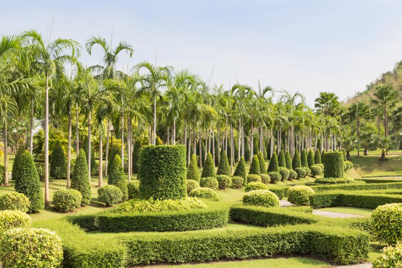 Symmetrically Shaped Shrubs